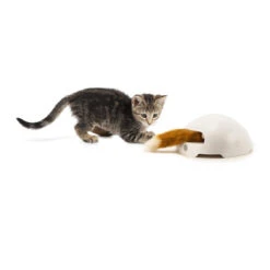 FroliCat Fox -Heimtierbedarf Verkäufe frolicat fox 136600 0500 none