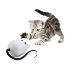 FroliCat RoloRat -Heimtierbedarf Verkäufe frolicat rolorat 136585 0500 none