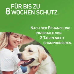 Frontline Combo Gegen Zecken, Flöhe (Flöhe, Eier, Larven, Puppen) Bei Hunden -Heimtierbedarf Verkäufe frontline combo spot on hond 192950 0500 none