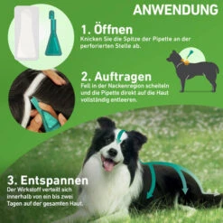 Frontline Combo Gegen Zecken, Flöhe (Flöhe, Eier, Larven, Puppen) Bei Hunden -Heimtierbedarf Verkäufe frontline combo spot on hond 192953 0500 none