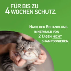 Frontline Combo Spot On Katze -Heimtierbedarf Verkäufe frontline combo spot on kat 208217 0500 none