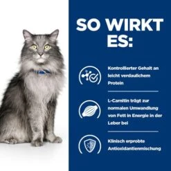 Hill's L/d - Liver Care -Prescription Diet - Feline -Heimtierbedarf Verkäufe hills ld liver care prescription diet feline 218163 0500 none