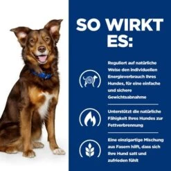 Hill's Metabolic Weight Management - Prescription Diet - Canine -Heimtierbedarf Verkäufe hills metabolic weight management prescription diet canine 217870 0500 none
