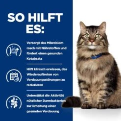 Hill's Prescription Diet - Gastrointestinal Biome - Ragout - Katze -Heimtierbedarf Verkäufe hills prescription diet gastrointestinal biome stoofpotje kattenvoer 211994 0500 none