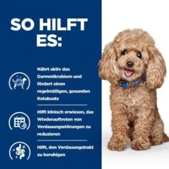 Hill's Prescription Diet Gastrointestinal Biome - Canine - Mini -Heimtierbedarf Verkäufe hills prescription diet gastrointestinal biome canine mini 211877 0500 none