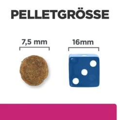 Hill's Prescription Diet Gastrointestinal Biome - Canine - Mini -Heimtierbedarf Verkäufe hills prescription diet gastrointestinal biome canine mini 211880 0500 none