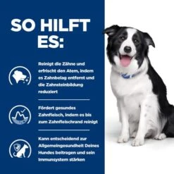 Hill's T/d Dental Care - Prescription Diet - Canine -Heimtierbedarf Verkäufe hills td dental care prescription diet canine 218121 0500 none