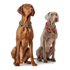 Hunter Halsband Oss 13 Hunter Halsband Oss -Heimtierbedarf Verkäufe hunter halsband oss 146099 0500 none