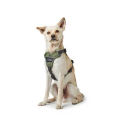 Hunter Geschirr Divo Dunkelblau/Grau -Heimtierbedarf Verkäufe hunter harnas divo donkerblauwgrijs 166891 0500 none