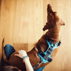 Hunter Geschirr Divo Dunkelblau/Grau -Heimtierbedarf Verkäufe hunter harnas divo donkerblauwgrijs 166903 0500 none