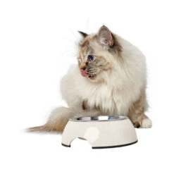 Hunter Melamin Napf - Weiß -Heimtierbedarf Verkäufe hunter melamine voer en drinkbak wit 169570 0500 none