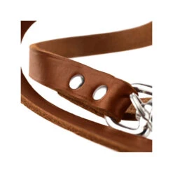 Hunter Trainingsleine - Braun -Heimtierbedarf Verkäufe hunter trainingsriem bruin 175345 0500 none