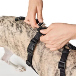 Hunter Vario Rapid Sicherheitsgeschirr - Schwarz -Heimtierbedarf Verkäufe hunter vario rapid veiligheidsharnas zwart 169504 0500 none