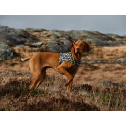 Hurtta Go Geschirr Storm Grey -Heimtierbedarf Verkäufe hurtta go harness storm grey 201305 0500 none