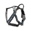 Hurtta Razzle Dazzle Y-Harness - Blackberry -Heimtierbedarf Verkäufe hurtta razzle dazzle harness blackberry 175969 0500 none
