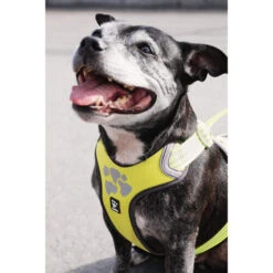 Hurtta Weekend Warrior Geschirr 30 Hurtta Weekend Warrior Geschirr -Heimtierbedarf Verkäufe hurtta weekend warrior harness 189093 0500 none