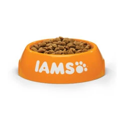 IAMS For Vitality Dog Adult Small & Medium - Lamb 5 IAMS For Vitality Dog Adult Small & Medium - Lamb -Heimtierbedarf Verkäufe iams dog adult small medium lamb 135991 0500 none