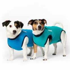 Jacketz Medical Body Suit Für Hunde 7 Jacketz Medical Body Suit Für Hunde -Heimtierbedarf Verkäufe jacketz medical body suit hond 209516 0500 none