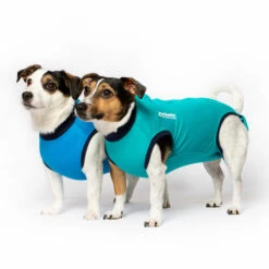 Jacketz Medical Body Suit Für Hunde 8 Jacketz Medical Body Suit Für Hunde -Heimtierbedarf Verkäufe jacketz medical body suit hond 209519 0500 none
