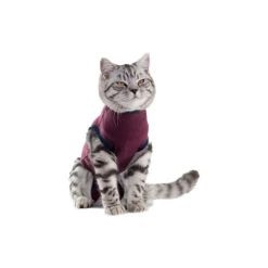 Jacketz Medical Body Suit Für Katzen -Heimtierbedarf Verkäufe jacketz medical body suit kat 154129 0500 none