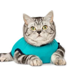 Jacketz Medical Body Suit Für Katzen -Heimtierbedarf Verkäufe jacketz medical body suit kat 209783 0500 none
