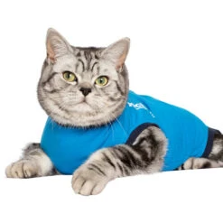 Jacketz Medical Body Suit Für Katzen -Heimtierbedarf Verkäufe jacketz medical body suit kat 209792 0500 none