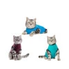 Jacketz Medical Body Suit Für Katzen -Heimtierbedarf Verkäufe jacketz medical body suit kat 209795 0500 none