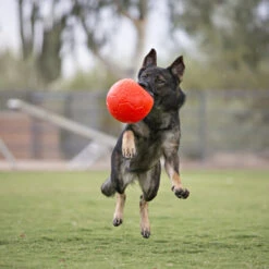 Jolly Soccer Ball -Heimtierbedarf Verkäufe jolly soccer ball 162241 0500 none
