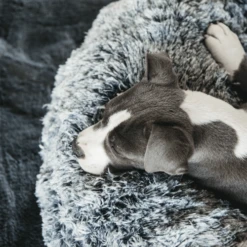 Kentucky Dogwear - Comfort Donut-Hundekorb -Heimtierbedarf Verkäufe kentucky dogwear comfort donut hondenmand 219723 0500 none