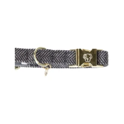 Kentucky Dogwear Hundehalsband Wool -Heimtierbedarf Verkäufe kentucky dogwear hondenhalsband wool 219713 0500 none