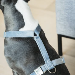 Kentucky Dogwear Hundegeschirr Velvet Loop 14 Kentucky Dogwear Hundegeschirr Velvet Loop -Heimtierbedarf Verkäufe kentucky dogwear hondenharnas velvet loop 219286 0500 none