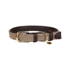 Kentucky Dogwear Nylon Hundehalsband -Heimtierbedarf Verkäufe kentucky dogwear nylon hondenhalsband 219176 0500 none