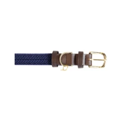 Kentucky Dogwear Nylon Hundehalsband -Heimtierbedarf Verkäufe kentucky dogwear nylon hondenhalsband 219177 0500 none