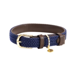 Kentucky Dogwear Nylon Hundehalsband -Heimtierbedarf Verkäufe kentucky dogwear nylon hondenhalsband 219180 0500 none