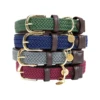 Kentucky Dogwear Nylon Hundehalsband -Heimtierbedarf Verkäufe kentucky dogwear nylon hondenhalsband 219181 0500 none