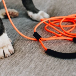 Kentucky Dogwear Schleppleine Soft Rubber -Heimtierbedarf Verkäufe kentucky dogwear sleeplijn soft rubber 219203 0500 none