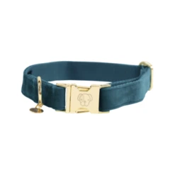 Kentucky Dogwear Velvet Hundehalsband -Heimtierbedarf Verkäufe kentucky dogwear velvet hondenhalsband 219231 0500 none
