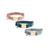 Kentucky Dogwear Velvet Hundehalsband -Heimtierbedarf Verkäufe kentucky dogwear velvet hondenhalsband 219233 0500 none