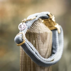 Kentucky Dogwear Velvet Hundehalsband -Heimtierbedarf Verkäufe kentucky dogwear velvet hondenhalsband 219236 0500 none