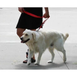 KONG Adjustable Leash -Heimtierbedarf Verkäufe kong adjustable leash zwart 176941 0500 none