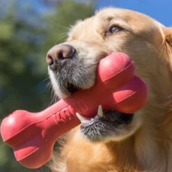 KONG Goodie Bone 8 KONG Goodie Bone -Heimtierbedarf Verkäufe kong goodie bone 194186 0500 none