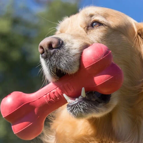 KONG Goodie Bone 5 KONG Goodie Bone – Bild 3