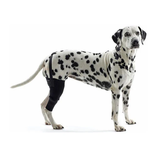 Kruuse Rehab Knieschutz 3 Kruuse Rehab Knieschutz