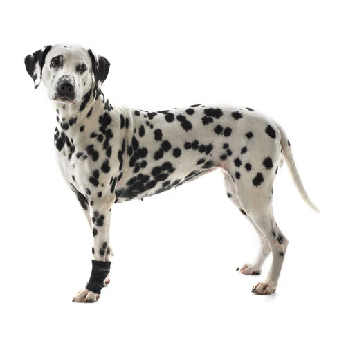 Kruuse Rehab Fesselschutz 3 Kruuse Rehab Fesselschutz