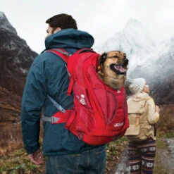 Kurgo G-Train K9 Pack -Heimtierbedarf Verkäufe kurgo g train k9 pack 177133 0500 none