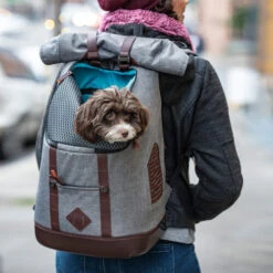 Kurgo K9 Rucksack -Heimtierbedarf Verkäufe kurgo k9 rugzak 208103 0500 none