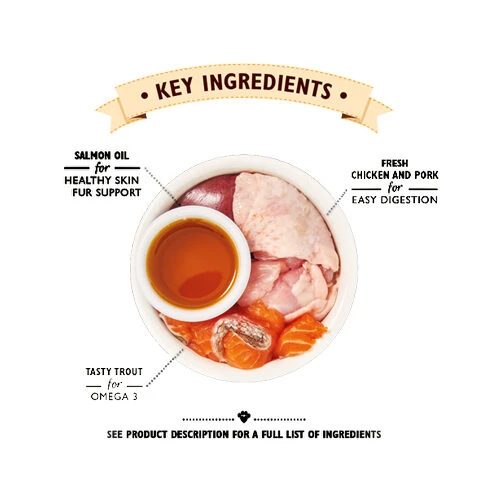 Lily's Kitchen Smooth Paté Kätzchenfutter - Schale 4 Lily's Kitchen Smooth Paté Kätzchenfutter - Schale – Bild 2