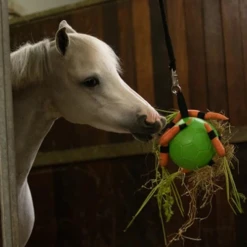 Maximus Fun Play Ball Für Pferde 17 Maximus Fun Play Ball Für Pferde -Heimtierbedarf Verkäufe maximus fun play ball voor paarden 207830 0500 none