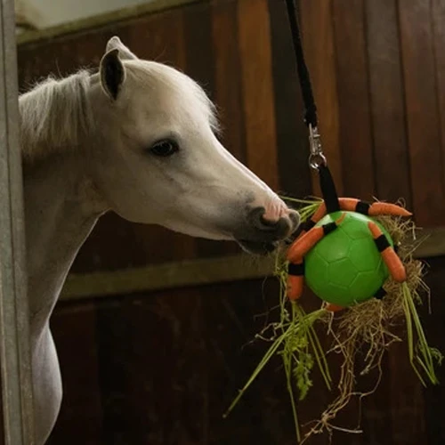 Maximus Fun Play Ball Für Pferde 10 Maximus Fun Play Ball Für Pferde – Bild 8