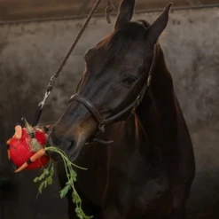 Maximus Fun Play Ball Für Pferde 13 Maximus Fun Play Ball Für Pferde -Heimtierbedarf Verkäufe maximus fun play ball voor paarden 207833 0500 none